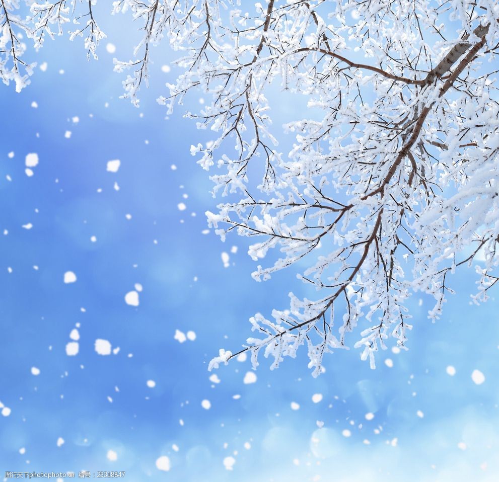 国家冰雪运动学院要来了！