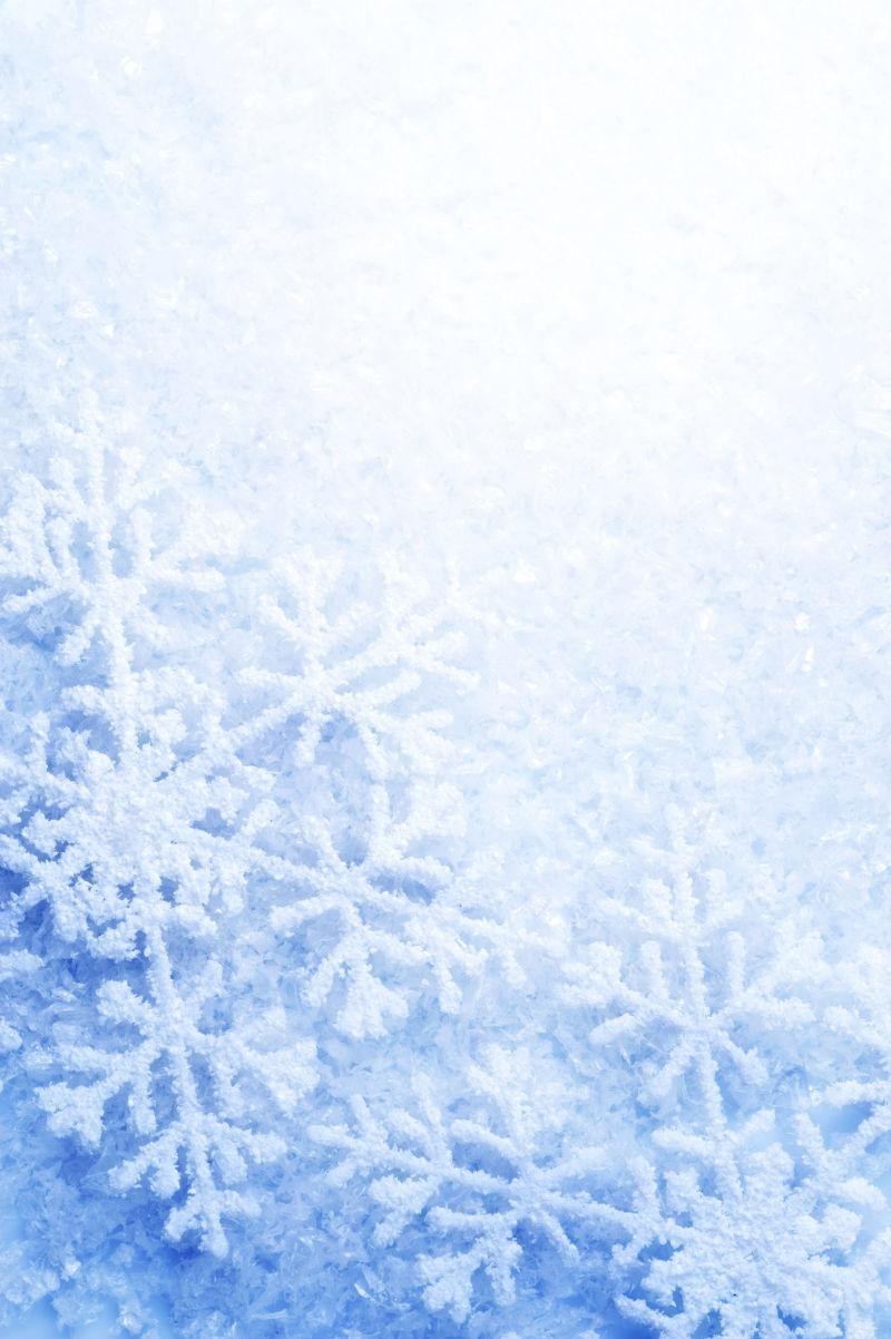 2025中国—上海合作组织冰雪体育示范区冰球赛在齐齐哈尔开赛